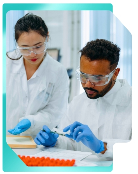 Process Validation (475 x 600 px)